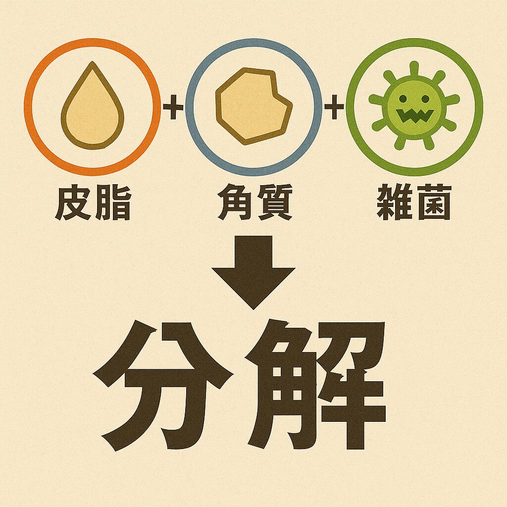 足裏の皮脂や角質が臭いの原因になる図解